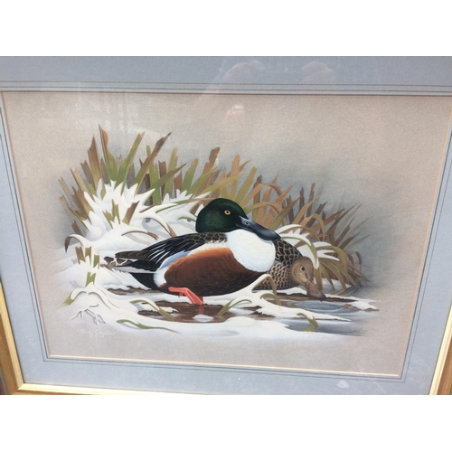 293 - TWO ANDY GRAYSTONE WATERCOLOURS OF DUCKS IN WINTER