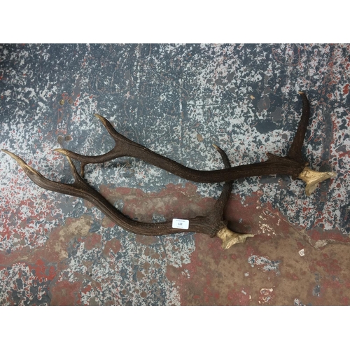 512 - A PAIR OF FIVE POINT TAXIDERMY DEER ANTLERS