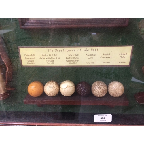 486 - A GLASS FRAMED PLAQUE OF THE DEVELOPMENT OF THE GOLF BALL