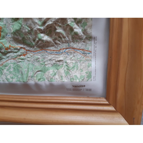 727 - A VINTAGE BEECH FRAMED 3D GEOGRAPHICAL MAP