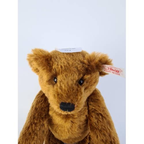 264 - A STEIFF 660986 LIMITED EDITION 'THE ARTIST' BEAR