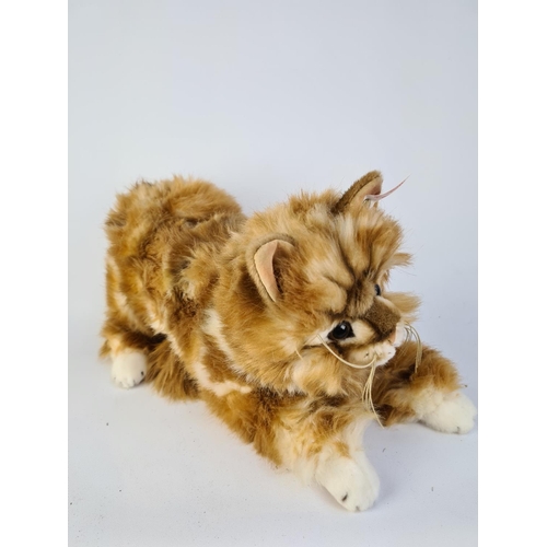 271 - A STEIFF 036613 MIZZY MAINE COON CAT WITH ORIGINAL BOX