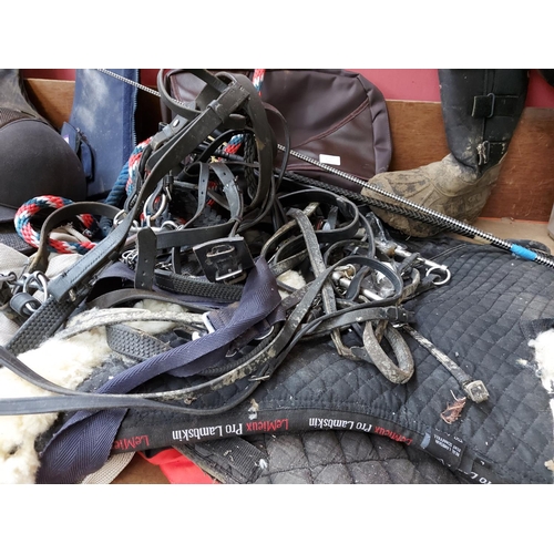 66 - A LARGE QUANTITY OF HORSE TACK TO INCLUDE JUST TOGS RIDING HAT, FOREVER SIZE 11 BOOTS, BRIDALS, BITS... 