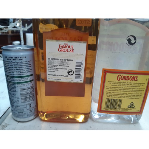 173 - Two 1 litre bottles of spirits to include Gordon's Special London Dry Gin and The Famous Grouse Fine... 