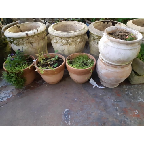 742 - Five terracotta plant pots