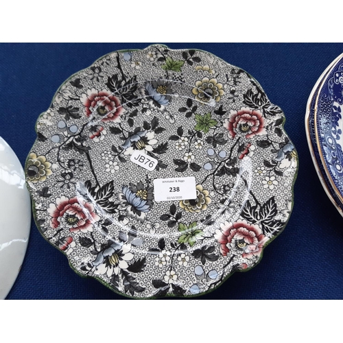 238 - A collection of nine ceramic plates to include James Norris Ltd. blue and white dinner plate titled ... 