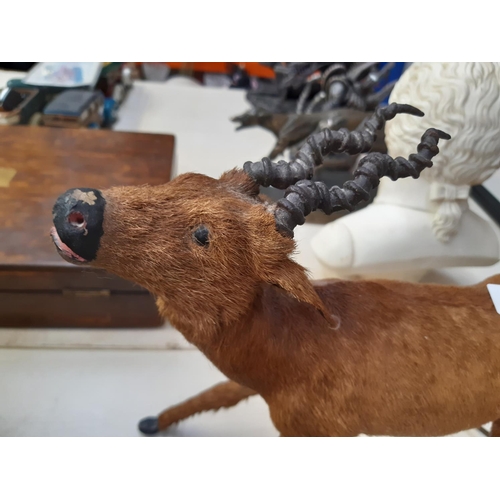 241 - A well detailed vintage scale figurine of a Blackbuck Antelope with real fur and glass eyes