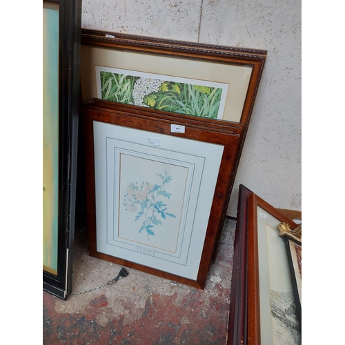 479 - Six framed prints to include a set of four limited edition of 5000 Natural History Museum Botanical ... 