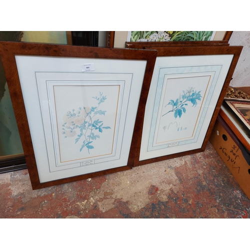 479 - Six framed prints to include a set of four limited edition of 5000 Natural History Museum Botanical ... 