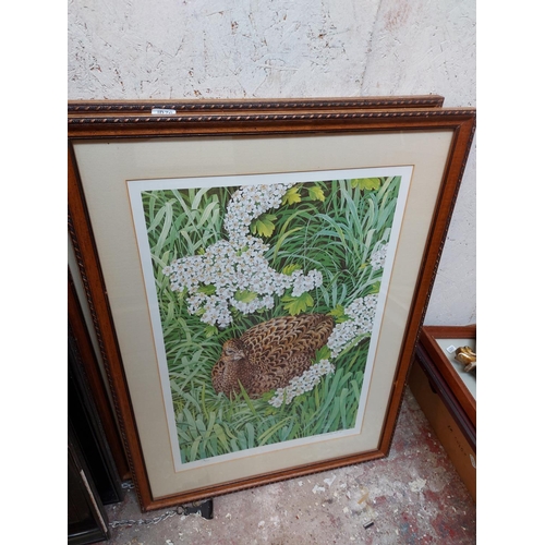 479 - Six framed prints to include a set of four limited edition of 5000 Natural History Museum Botanical ... 