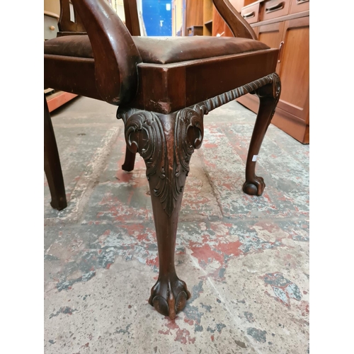 477 - A Chippendale style mahogany carver chair on ball and claw supports