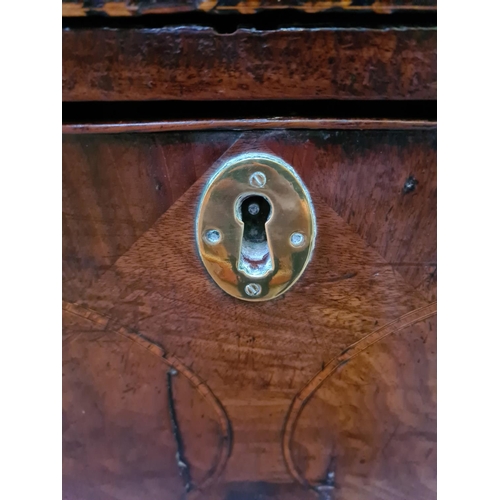 558 - A Regency mahogany secretaire chest of drawers with upper fall front writing slope and internal stor... 