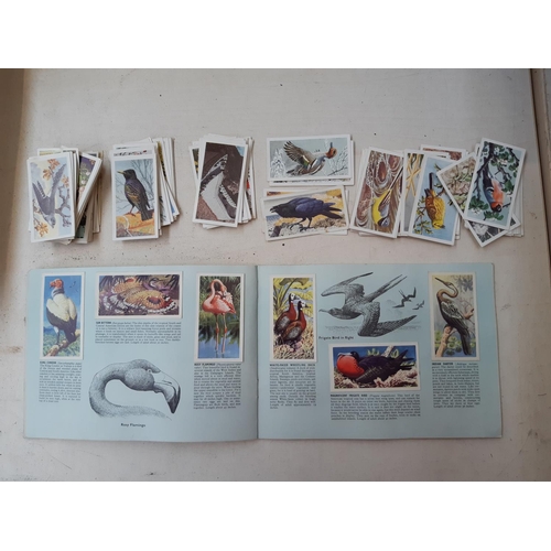 167 - A collection of various vintage tea card albums to include Brooke Bond, History of the motor car, Br... 