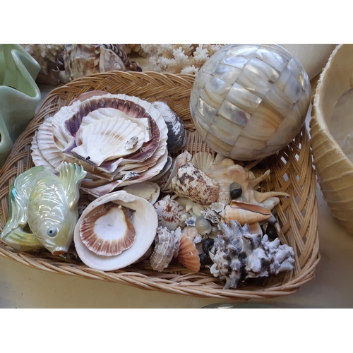 277 - An extensive collection of naturally occurring rocks, minerals and shells to include conches, razorf... 