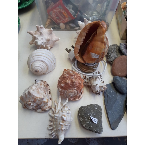 277 - An extensive collection of naturally occurring rocks, minerals and shells to include conches, razorf... 