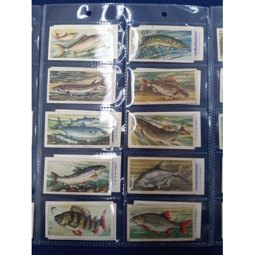 80 - A folder containing various antique and vintage postcards together with a mid 20th century scrap alb... 