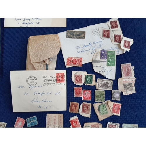 81 - A collection of assorted worldwide stamps