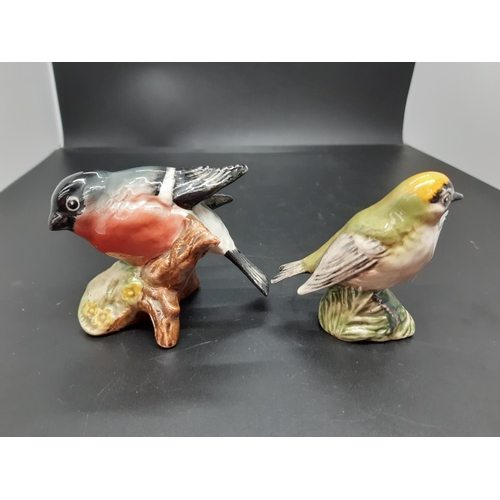 144 - Eight Beswick bird figurines to include Goldcrest no. 2415, Whitethroat no. 2106, Nuthatch no. 2413,... 