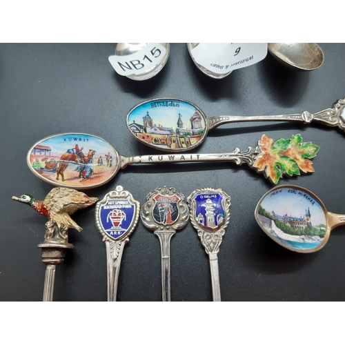 6 - A collection of 14 souvenir spoons to include 8 hallmarked English and continental silver and 6 EPNS... 