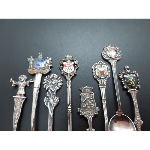 6 - A collection of 14 souvenir spoons to include 8 hallmarked English and continental silver and 6 EPNS... 