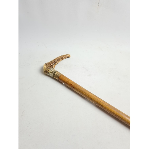 264 - A vintage antler handled oak walking cane with gold coloured collar