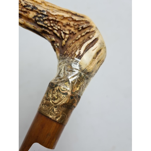 264 - A vintage antler handled oak walking cane with gold coloured collar