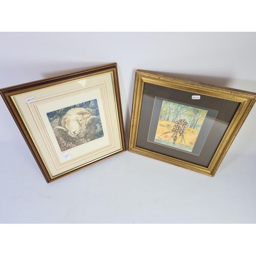 314 - Two framed pictures, one watercolour of a giraffe signed C. Heys and one print of a Hardwick ram pen... 