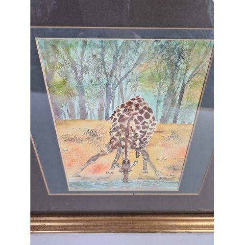 314 - Two framed pictures, one watercolour of a giraffe signed C. Heys and one print of a Hardwick ram pen... 