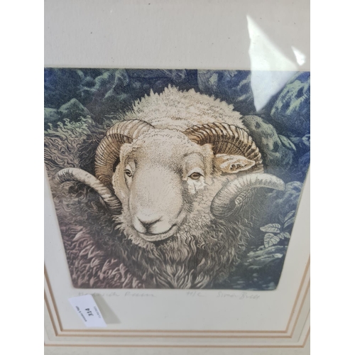 314 - Two framed pictures, one watercolour of a giraffe signed C. Heys and one print of a Hardwick ram pen... 