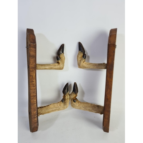 330 - A pair of oak mounted taxidermy deer hoof coat racks