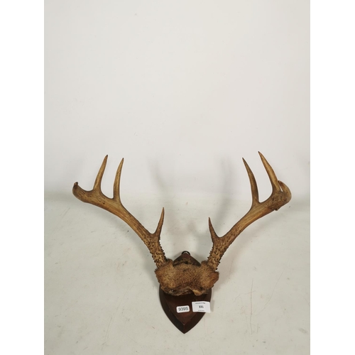 331 - A pair of vintage taxidermy deer antlers on mahogany plaque