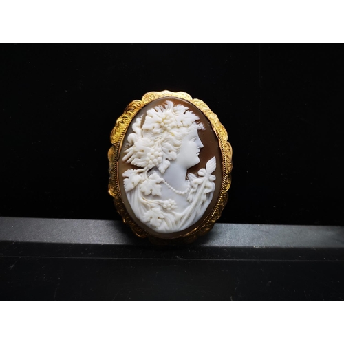 105 - A Victorian 9ct gold cameo brooch - approx. gross weight 14.89 grams and 5.5cm high x 4.5cm wide