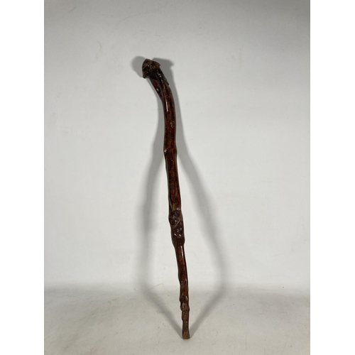 60 - An Irish shillelagh - approx. 85cm long