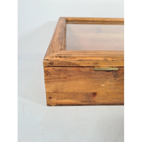 163 - A pine countertop display cabinet - approx. 23cm high x 79.5cm wide x 48cm deep