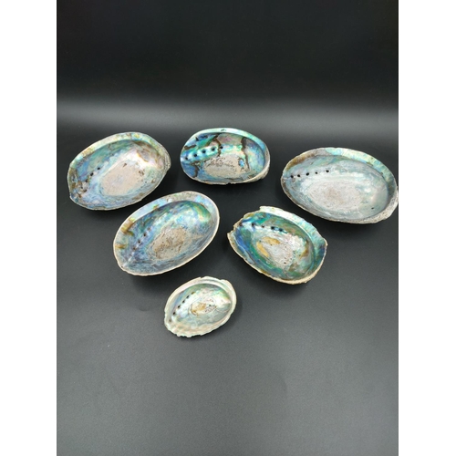 192 - Six various mother of pearl shells/trinket dishes