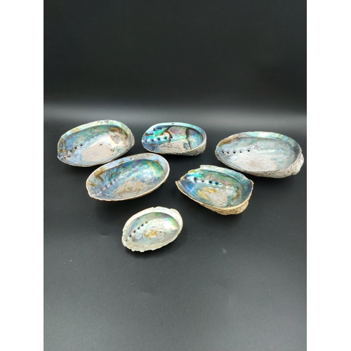 192 - Six various mother of pearl shells/trinket dishes