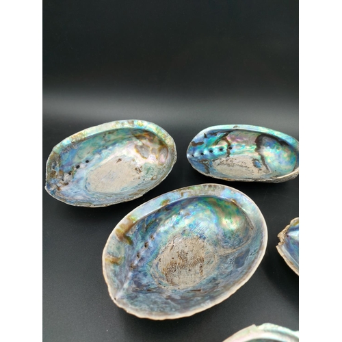 192 - Six various mother of pearl shells/trinket dishes