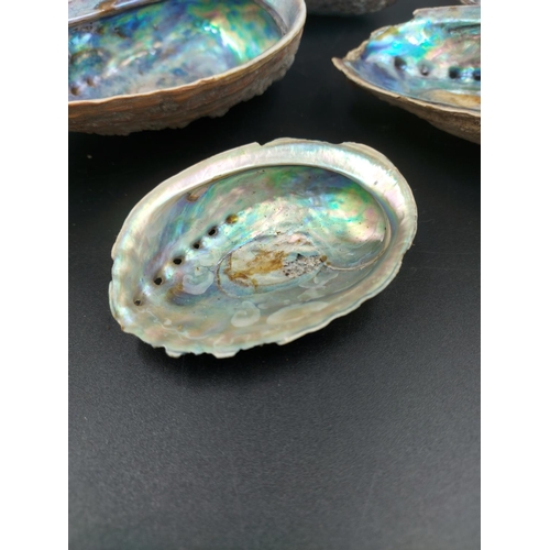 192 - Six various mother of pearl shells/trinket dishes