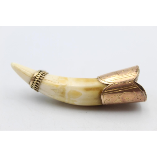 123 - A 10ct gold capped tooth brooch - approx. gross weight 13.1 grams