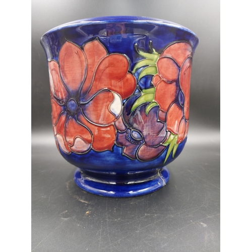 377 - A Moorcroft Anemone pattern jardinière - approx. 22cm high x 23cm diameter