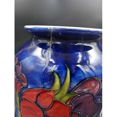 377 - A Moorcroft Anemone pattern jardinière - approx. 22cm high x 23cm diameter