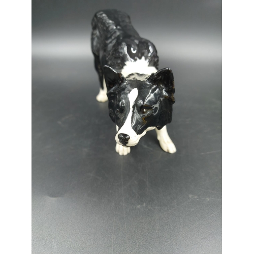 400 - A Royal Doulton Border Collie figurine - DA 143