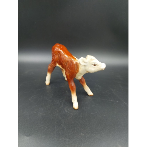 404 - A Beswick Hereford calf - approx. 11cm high x 13cm long