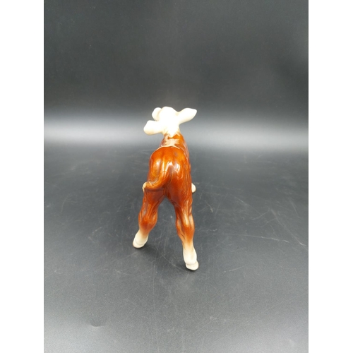 404 - A Beswick Hereford calf - approx. 11cm high x 13cm long