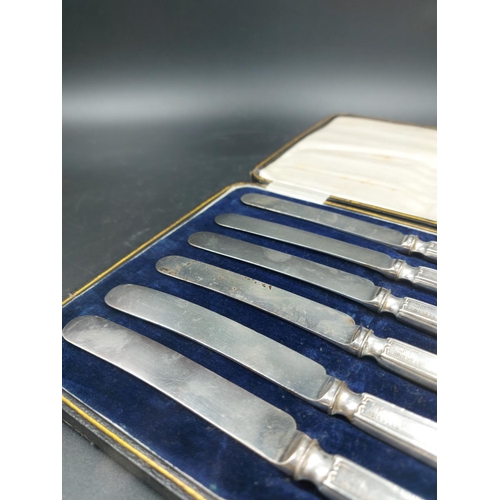 253 - A cased set of six Edwardian hallmarked Sheffield silver handled butter knives by James Barber, date... 