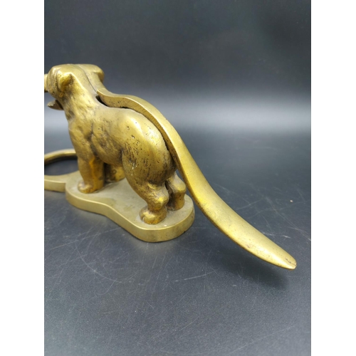 335 - A vintage novelty brass nut cracker in the form of a dog