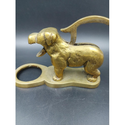 335 - A vintage novelty brass nut cracker in the form of a dog