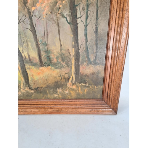 577 - A oak framed oil on canvas of a forest scene signed lower left - approx. 100cm x 54cm including fram... 