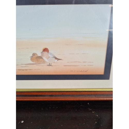 1234 - Two framed pictures, one Pintail and Wigeon watercolour signed M. S. Wakefield - approx. 29cm high x... 