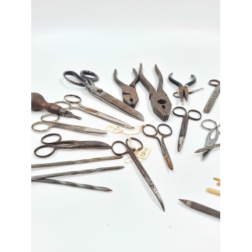 629 - A collection of antique and vintage scissors and pliers